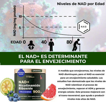 NAD+ de Alta Pureza Anti-Envejecimiento