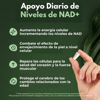 NAD+ de Alta Pureza Anti-Envejecimiento